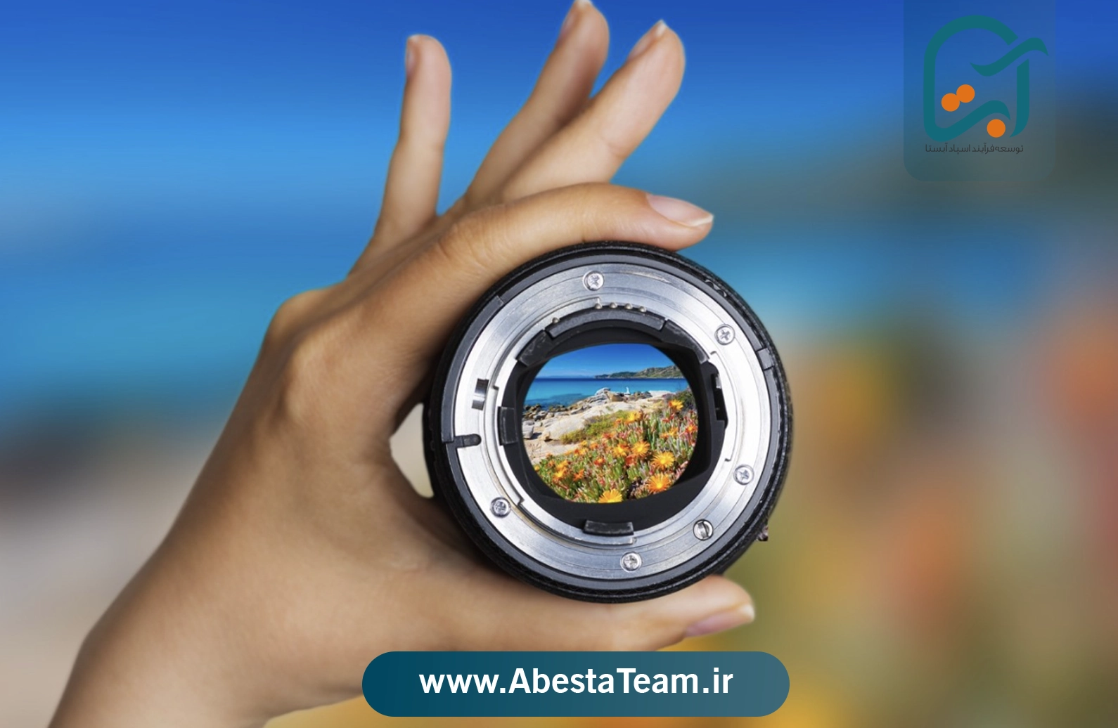 انواع استراتژی تمرکز چیست؟
